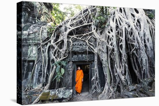 Cambodia, Siem Reap, Angkor Wat Complex. Buddhist Monk Inside Ta Prohm Temple (Mr)-Matteo Colombo-Stretched Canvas