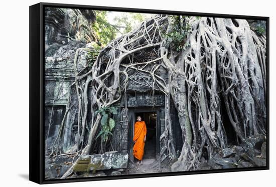 Cambodia, Siem Reap, Angkor Wat Complex. Buddhist Monk Inside Ta Prohm Temple (Mr)-Matteo Colombo-Framed Stretched Canvas