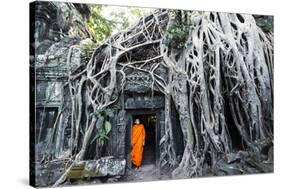 Cambodia, Siem Reap, Angkor Wat Complex. Buddhist Monk Inside Ta Prohm Temple (Mr)-Matteo Colombo-Stretched Canvas