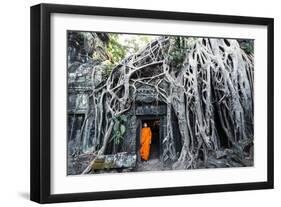 Cambodia, Siem Reap, Angkor Wat Complex. Buddhist Monk Inside Ta Prohm Temple (Mr)-Matteo Colombo-Framed Photographic Print