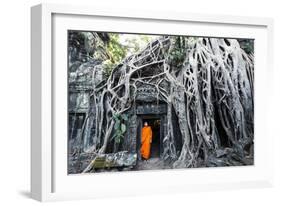 Cambodia, Siem Reap, Angkor Wat Complex. Buddhist Monk Inside Ta Prohm Temple (Mr)-Matteo Colombo-Framed Photographic Print