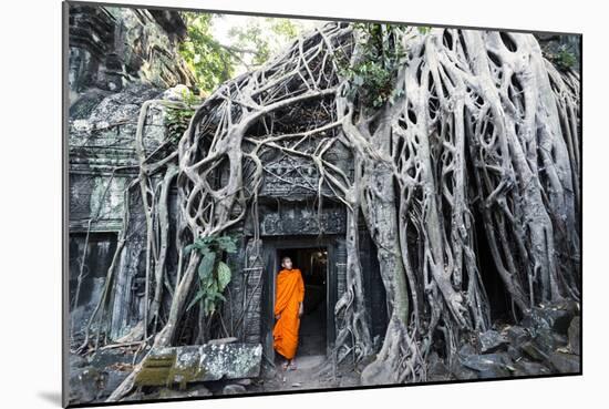 Cambodia, Siem Reap, Angkor Wat Complex. Buddhist Monk Inside Ta Prohm Temple (Mr)-Matteo Colombo-Mounted Photographic Print