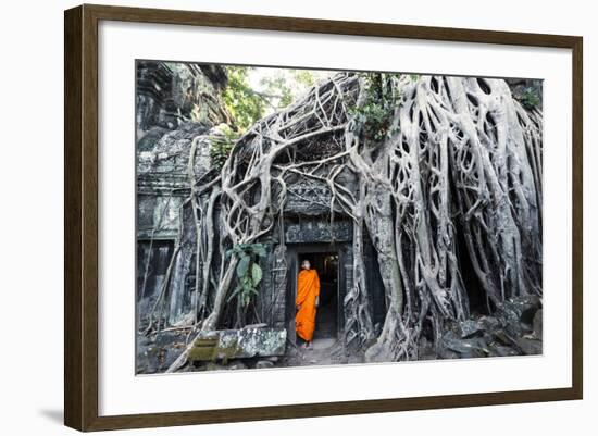 Cambodia, Siem Reap, Angkor Wat Complex. Buddhist Monk Inside Ta Prohm Temple (Mr)-Matteo Colombo-Framed Photographic Print