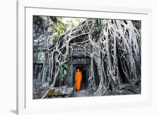 Cambodia, Siem Reap, Angkor Wat Complex. Buddhist Monk Inside Ta Prohm Temple (Mr)-Matteo Colombo-Framed Photographic Print