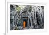 Cambodia, Siem Reap, Angkor Wat Complex. Buddhist Monk Inside Ta Prohm Temple (Mr)-Matteo Colombo-Framed Photographic Print