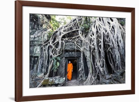 Cambodia, Siem Reap, Angkor Wat Complex. Buddhist Monk Inside Ta Prohm Temple (Mr)-Matteo Colombo-Framed Photographic Print