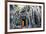 Cambodia, Siem Reap, Angkor Wat Complex. Buddhist Monk Inside Ta Prohm Temple (Mr)-Matteo Colombo-Framed Photographic Print