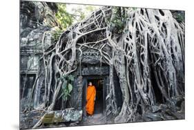 Cambodia, Siem Reap, Angkor Wat Complex. Buddhist Monk Inside Ta Prohm Temple (Mr)-Matteo Colombo-Mounted Photographic Print