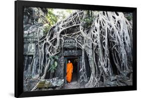 Cambodia, Siem Reap, Angkor Wat Complex. Buddhist Monk Inside Ta Prohm Temple (Mr)-Matteo Colombo-Framed Photographic Print