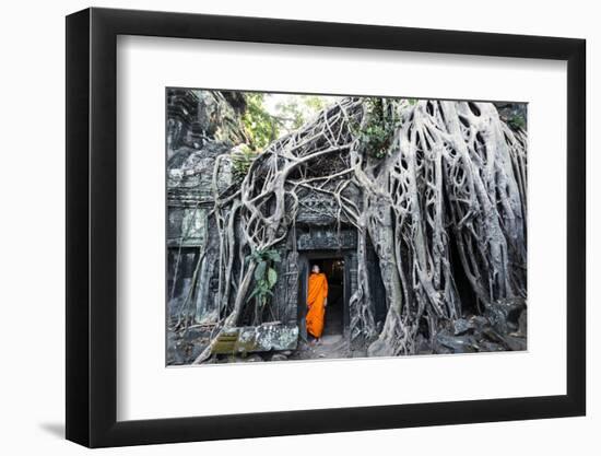 Cambodia, Siem Reap, Angkor Wat Complex. Buddhist Monk Inside Ta Prohm Temple (Mr)-Matteo Colombo-Framed Premium Photographic Print