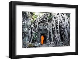 Cambodia, Siem Reap, Angkor Wat Complex. Buddhist Monk Inside Ta Prohm Temple (Mr)-Matteo Colombo-Framed Photographic Print