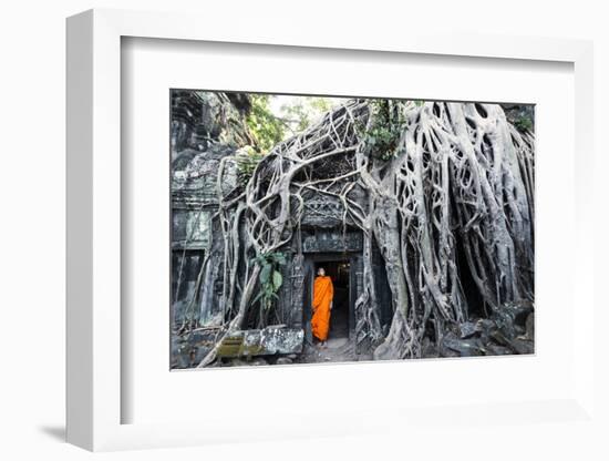 Cambodia, Siem Reap, Angkor Wat Complex. Buddhist Monk Inside Ta Prohm Temple (Mr)-Matteo Colombo-Framed Photographic Print