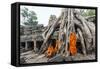 Cambodia, Siem Reap, Angkor Wat Complex. Monks Inside Ta Prohm Temple (Mr)-Matteo Colombo-Framed Stretched Canvas