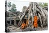 Cambodia, Siem Reap, Angkor Wat Complex. Monks Inside Ta Prohm Temple (Mr)-Matteo Colombo-Stretched Canvas