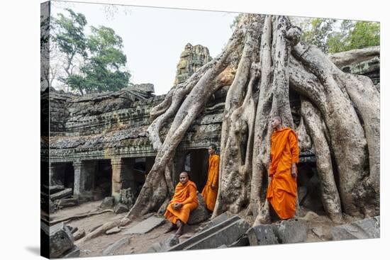 Cambodia, Siem Reap, Angkor Wat Complex. Monks Inside Ta Prohm Temple (Mr)-Matteo Colombo-Stretched Canvas