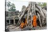 Cambodia, Siem Reap, Angkor Wat Complex. Monks Inside Ta Prohm Temple (Mr)-Matteo Colombo-Stretched Canvas