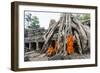 Cambodia, Siem Reap, Angkor Wat Complex. Monks Inside Ta Prohm Temple (Mr)-Matteo Colombo-Framed Photographic Print