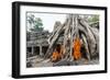 Cambodia, Siem Reap, Angkor Wat Complex. Monks Inside Ta Prohm Temple (Mr)-Matteo Colombo-Framed Photographic Print