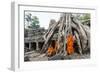 Cambodia, Siem Reap, Angkor Wat Complex. Monks Inside Ta Prohm Temple (Mr)-Matteo Colombo-Framed Photographic Print