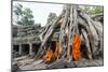 Cambodia, Siem Reap, Angkor Wat Complex. Monks Inside Ta Prohm Temple (Mr)-Matteo Colombo-Mounted Photographic Print