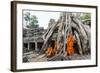 Cambodia, Siem Reap, Angkor Wat Complex. Monks Inside Ta Prohm Temple (Mr)-Matteo Colombo-Framed Photographic Print