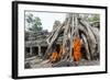 Cambodia, Siem Reap, Angkor Wat Complex. Monks Inside Ta Prohm Temple (Mr)-Matteo Colombo-Framed Photographic Print