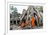 Cambodia, Siem Reap, Angkor Wat Complex. Monks Inside Ta Prohm Temple (Mr)-Matteo Colombo-Framed Photographic Print