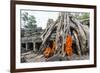 Cambodia, Siem Reap, Angkor Wat Complex. Monks Inside Ta Prohm Temple (Mr)-Matteo Colombo-Framed Photographic Print