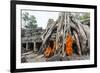 Cambodia, Siem Reap, Angkor Wat Complex. Monks Inside Ta Prohm Temple (Mr)-Matteo Colombo-Framed Photographic Print