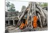 Cambodia, Siem Reap, Angkor Wat Complex. Monks Inside Ta Prohm Temple (Mr)-Matteo Colombo-Mounted Photographic Print