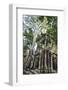 Cambodia, Ta Prohm, Siem Reap Province. the Ruins of the Buddhist Temple of Ta Prohm-Nigel Pavitt-Framed Photographic Print