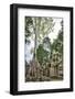 Cambodia, Ta Prohm, Siem Reap Province. the Ruins of the Buddhist Temple of Ta Prohm-Nigel Pavitt-Framed Photographic Print