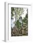 Cambodia, Ta Prohm, Siem Reap Province. the Ruins of the Buddhist Temple of Ta Prohm-Nigel Pavitt-Framed Photographic Print