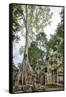 Cambodia, Ta Prohm, Siem Reap Province. the Ruins of the Buddhist Temple of Ta Prohm-Nigel Pavitt-Framed Stretched Canvas