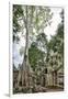 Cambodia, Ta Prohm, Siem Reap Province. the Ruins of the Buddhist Temple of Ta Prohm-Nigel Pavitt-Framed Photographic Print