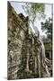 Cambodia, Ta Prohm, Siem Reap Province. the Ruins of the Buddhist Temple of Ta Prohm-Nigel Pavitt-Mounted Photographic Print