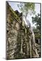 Cambodia, Ta Prohm, Siem Reap Province. the Ruins of the Buddhist Temple of Ta Prohm-Nigel Pavitt-Mounted Photographic Print