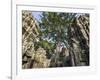 Cambodia, Ta Prohm, Siem Reap Province. the Ruins of the Buddhist Temple of Ta Prohm-Nigel Pavitt-Framed Photographic Print