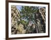 Cambodia, Ta Prohm, Siem Reap Province. the Ruins of the Buddhist Temple of Ta Prohm-Nigel Pavitt-Framed Photographic Print