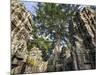 Cambodia, Ta Prohm, Siem Reap Province. the Ruins of the Buddhist Temple of Ta Prohm-Nigel Pavitt-Mounted Photographic Print