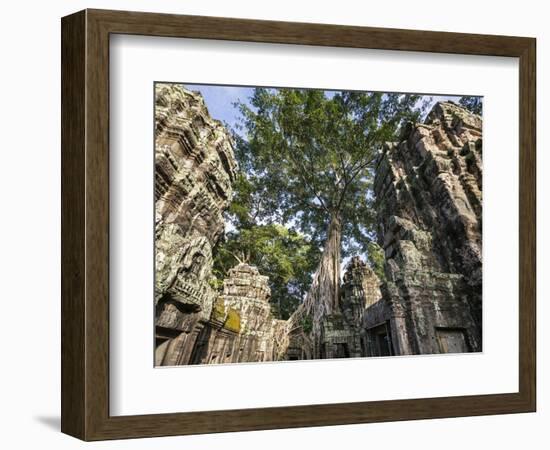 Cambodia, Ta Prohm, Siem Reap Province. the Ruins of the Buddhist Temple of Ta Prohm-Nigel Pavitt-Framed Photographic Print