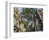 Cambodia, Ta Prohm, Siem Reap Province. the Ruins of the Buddhist Temple of Ta Prohm-Nigel Pavitt-Framed Photographic Print