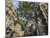 Cambodia, Ta Prohm, Siem Reap Province. the Ruins of the Buddhist Temple of Ta Prohm-Nigel Pavitt-Mounted Photographic Print