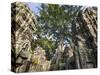 Cambodia, Ta Prohm, Siem Reap Province. the Ruins of the Buddhist Temple of Ta Prohm-Nigel Pavitt-Stretched Canvas