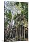 Cambodia, Ta Prohm, Siem Reap Province. the Ruins of the Buddhist Temple of Ta Prohm-Nigel Pavitt-Stretched Canvas