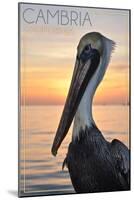 Cambria, California - Pelican and Sunset-Lantern Press-Mounted Art Print