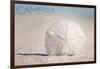 Cambria, California - Sand Dollar and Beach-Lantern Press-Framed Art Print