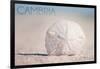 Cambria, California - Sand Dollar and Beach-Lantern Press-Framed Art Print