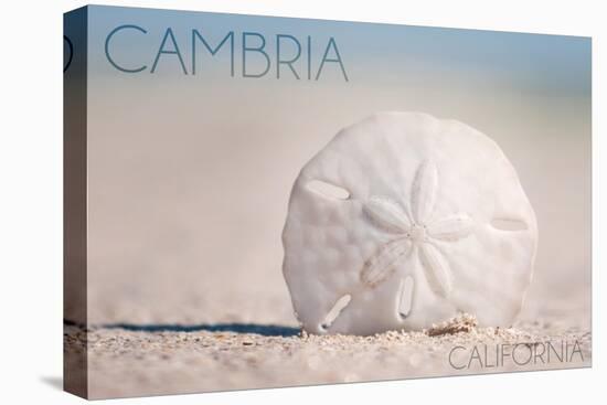 Cambria, California - Sand Dollar and Beach-Lantern Press-Stretched Canvas