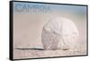 Cambria, California - Sand Dollar and Beach-Lantern Press-Framed Stretched Canvas